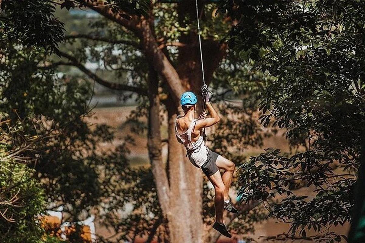 žena na zip line ve stromě