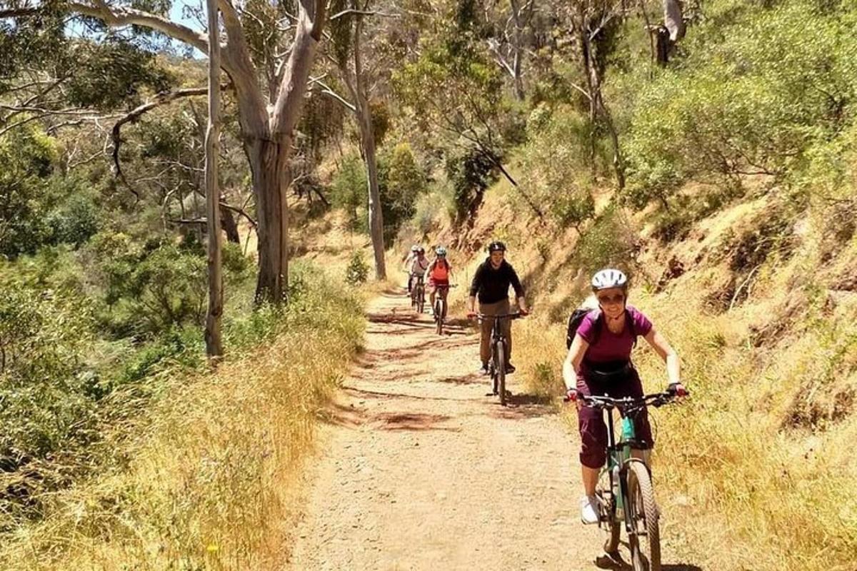 un gruppo di persone in bicicletta lungo una strada sterrata