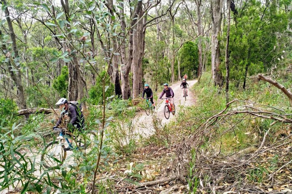 un gruppo di persone in bicicletta lungo un sentiero sterrato