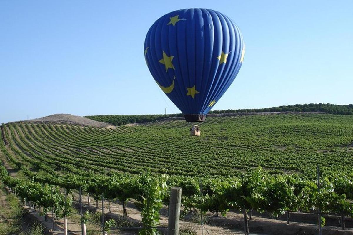 a hot air balloon flying over a vineyard