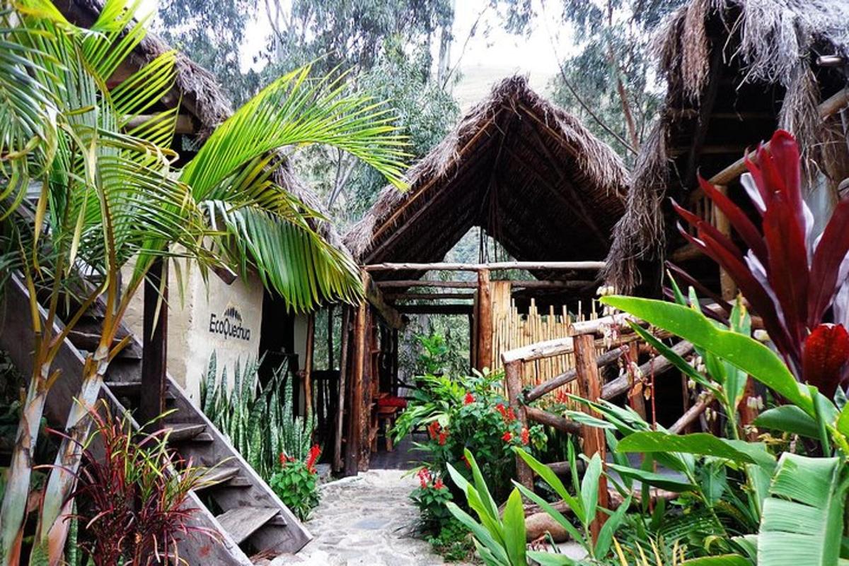 ein Garten mit einem Haus mit vielen Pflanzen
