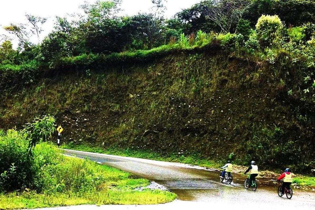 um grupo de pessoas andando de bicicleta por uma estrada