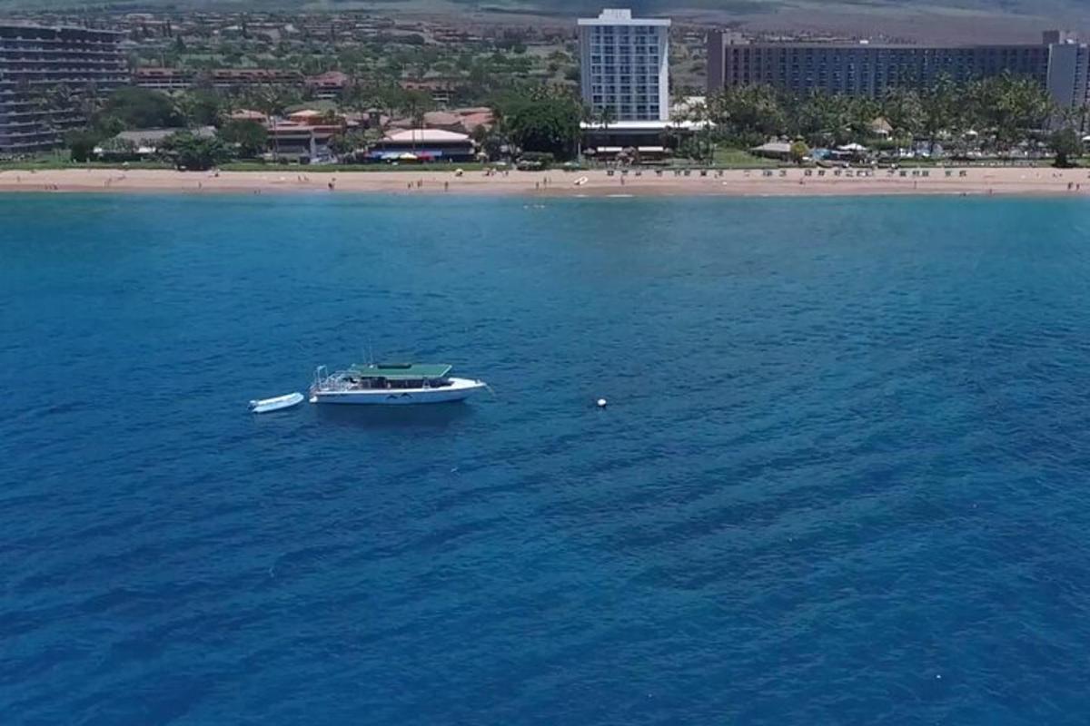 čoln v vodi blizu plaže