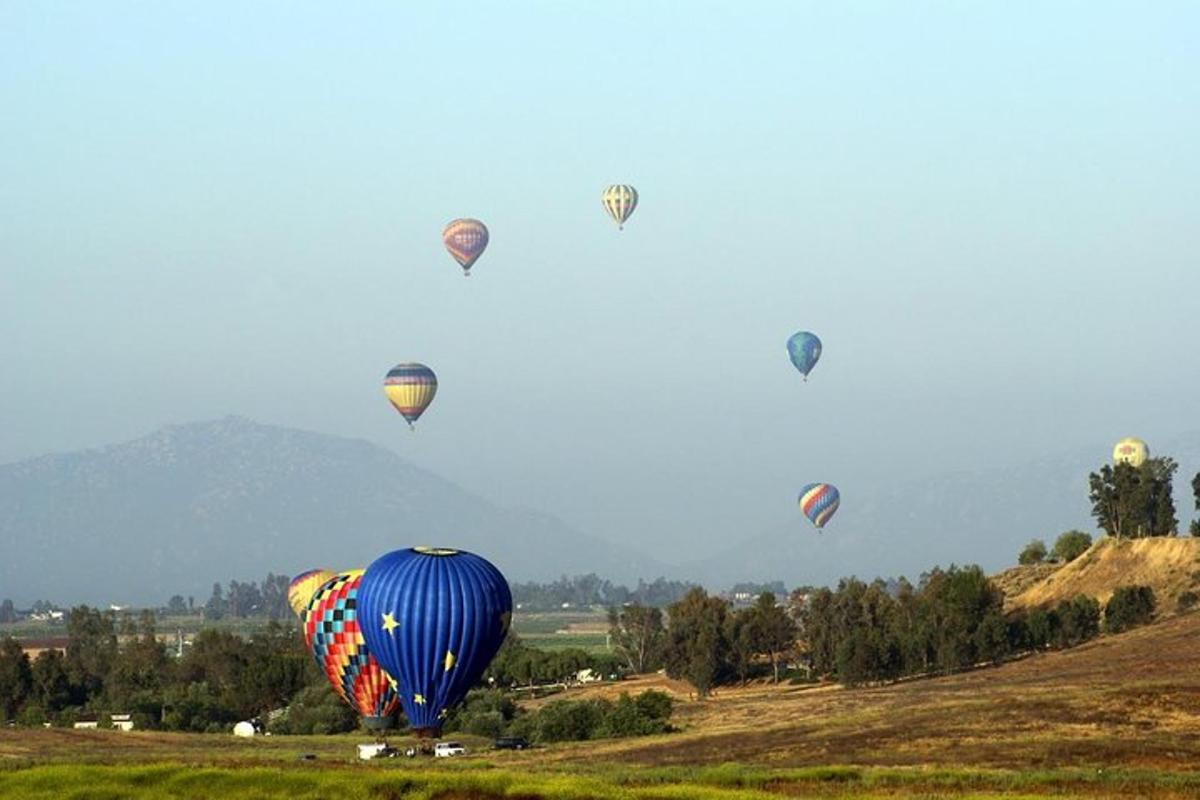 a bunch of hot air balloons flying in the sky
