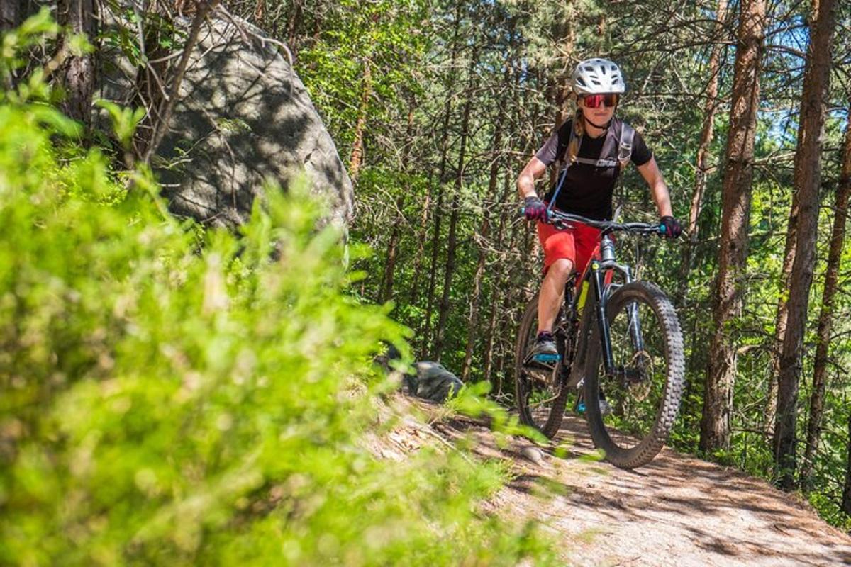 uma pessoa andando de bicicleta em uma trilha na floresta
