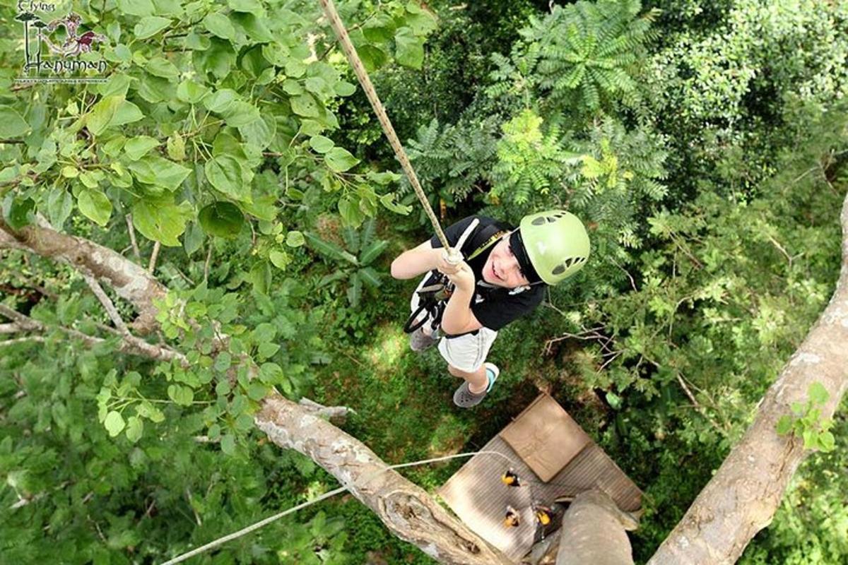 un uomo su una teleferica tra gli alberi