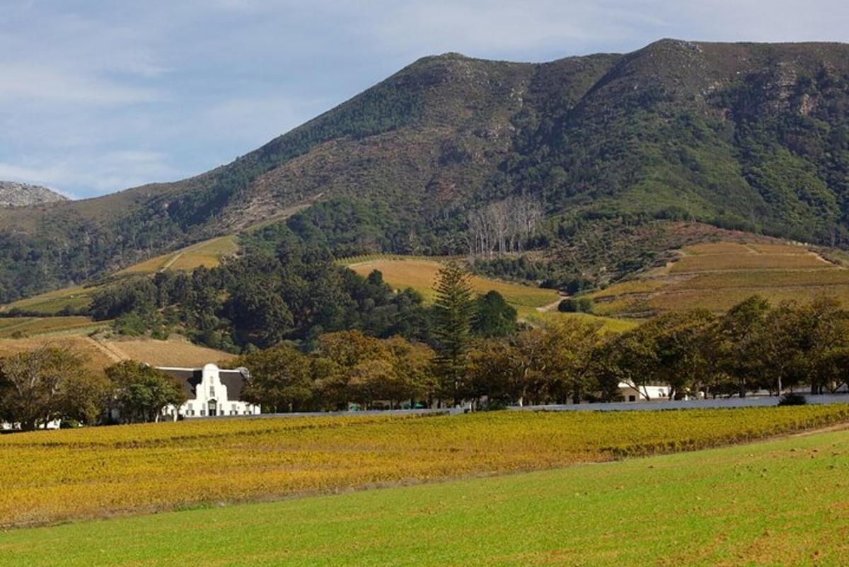 山を背景にした野原にある白い家