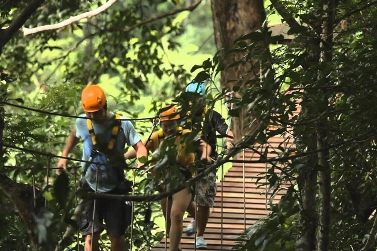 kaks inimest kõnnivad metsas rippsillal
