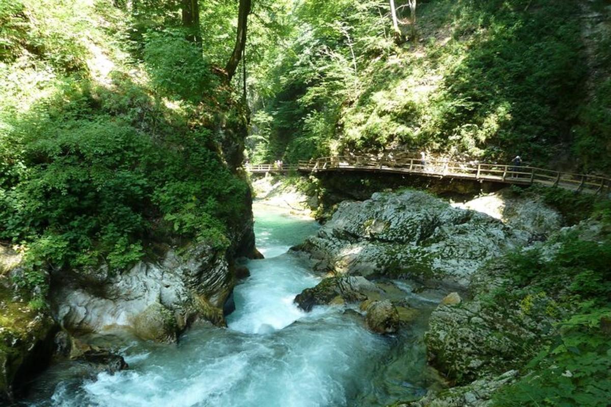 μια γέφυρα πάνω από ένα ποτάμι σε ένα δάσος