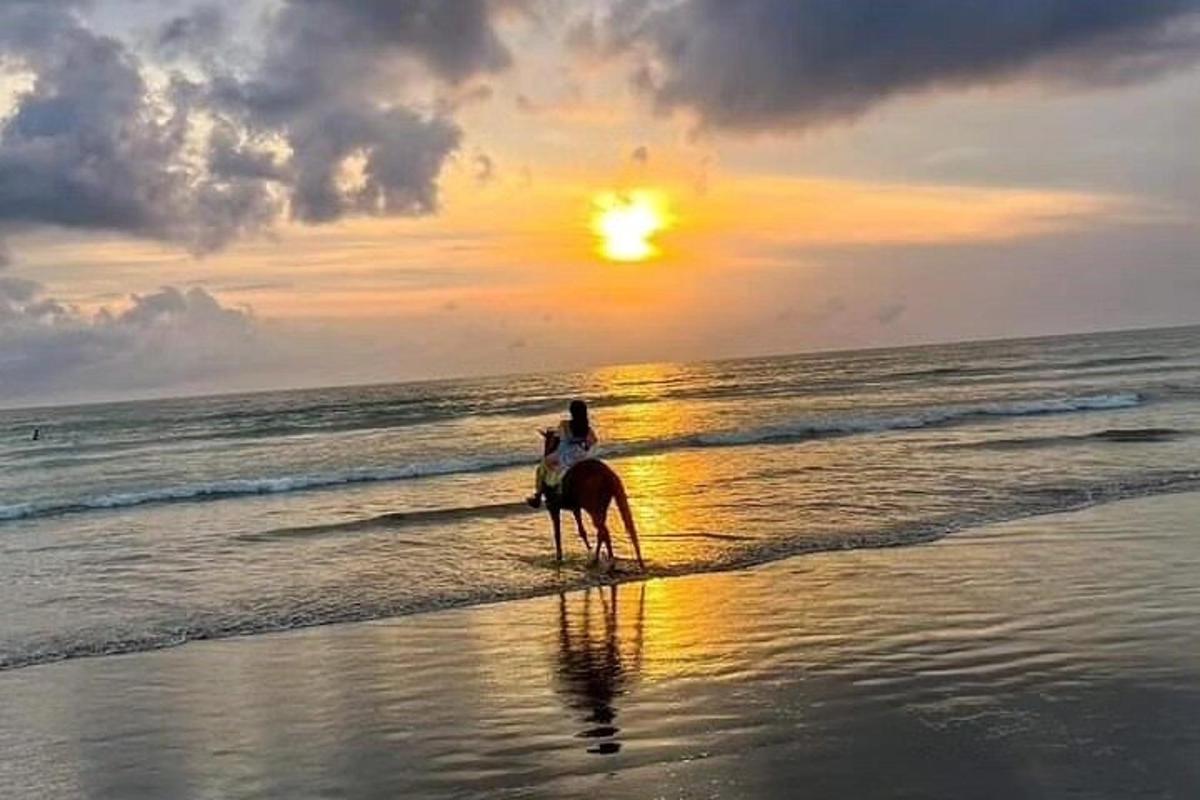 oseba, ki jaha konja na plaži ob sončnem zahodu