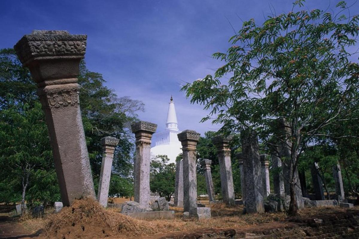 背景是白色建筑的墓地