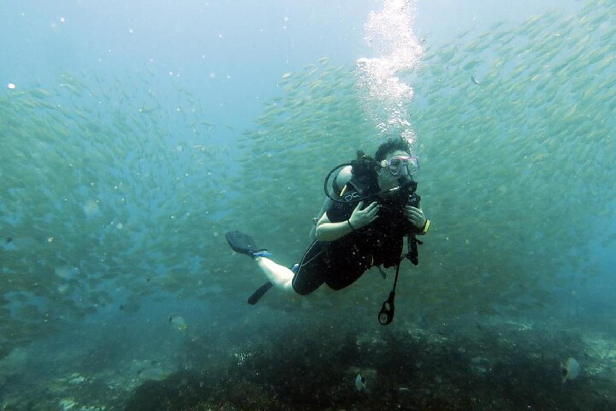une personne fait de la plongée sous-marine dans l'eau