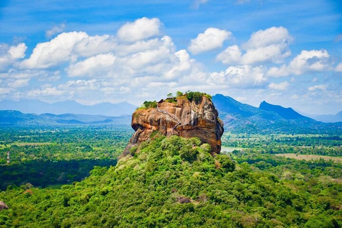 una formazione rocciosa con alberi in cima