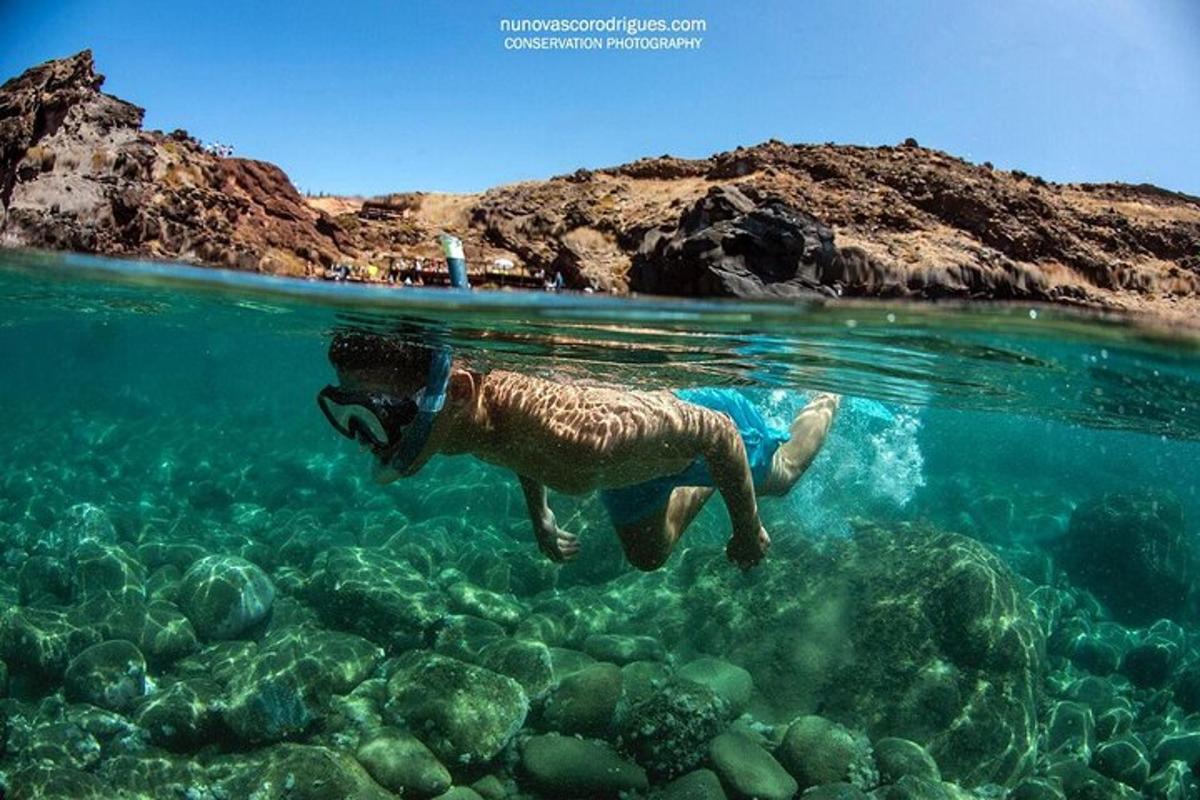 uma pessoa nadando na água perto de uma praia