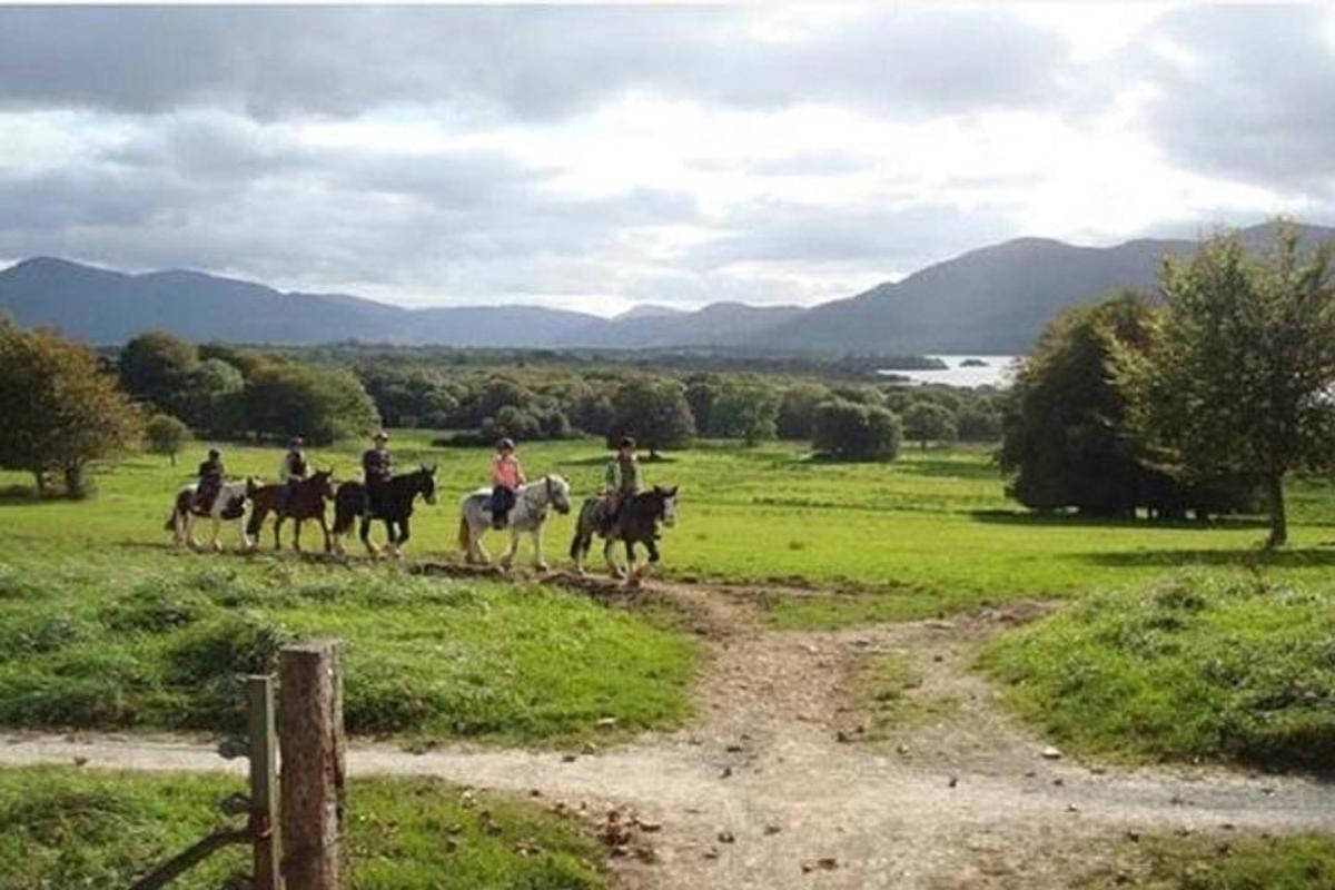 un grupo de personas montando a caballo en un campo