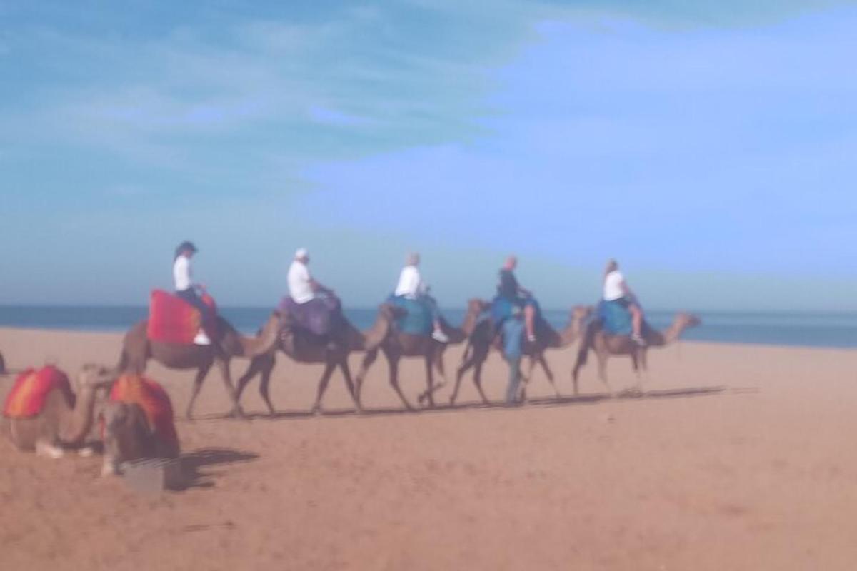 un grup de persones muntant camells a la platja