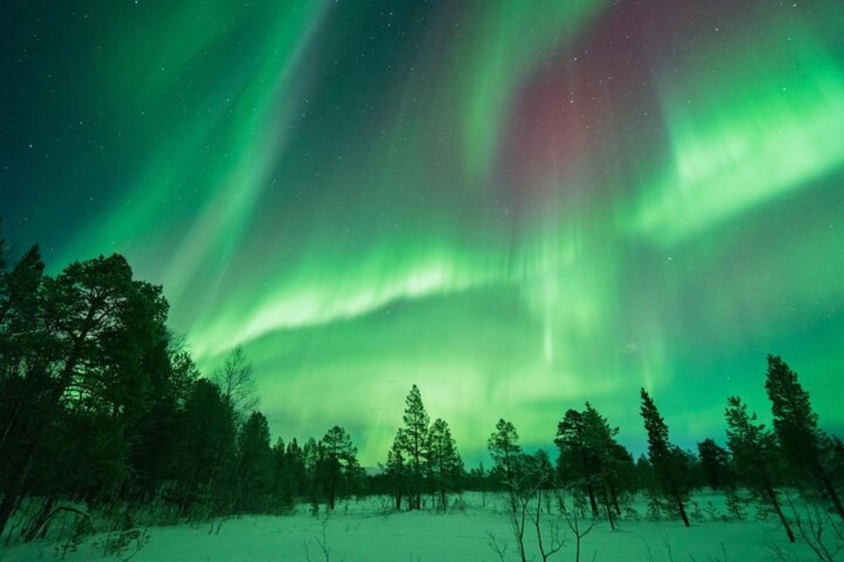 virmalised taevas puudega põllu kohal