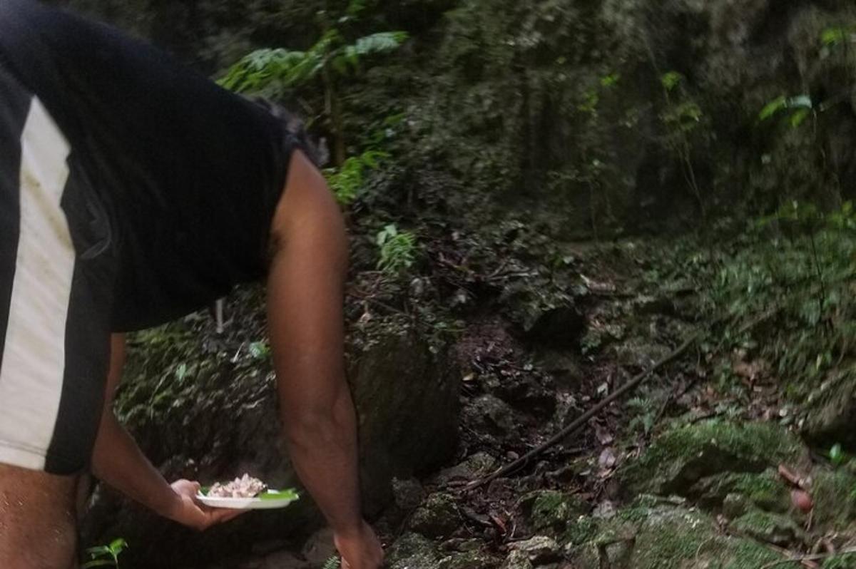 eine Person, die auf einem Weg einen Teller mit Essen hält