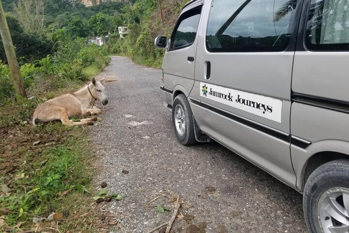 ein Hund, der neben einem Lieferwagen auf einer Straße liegt