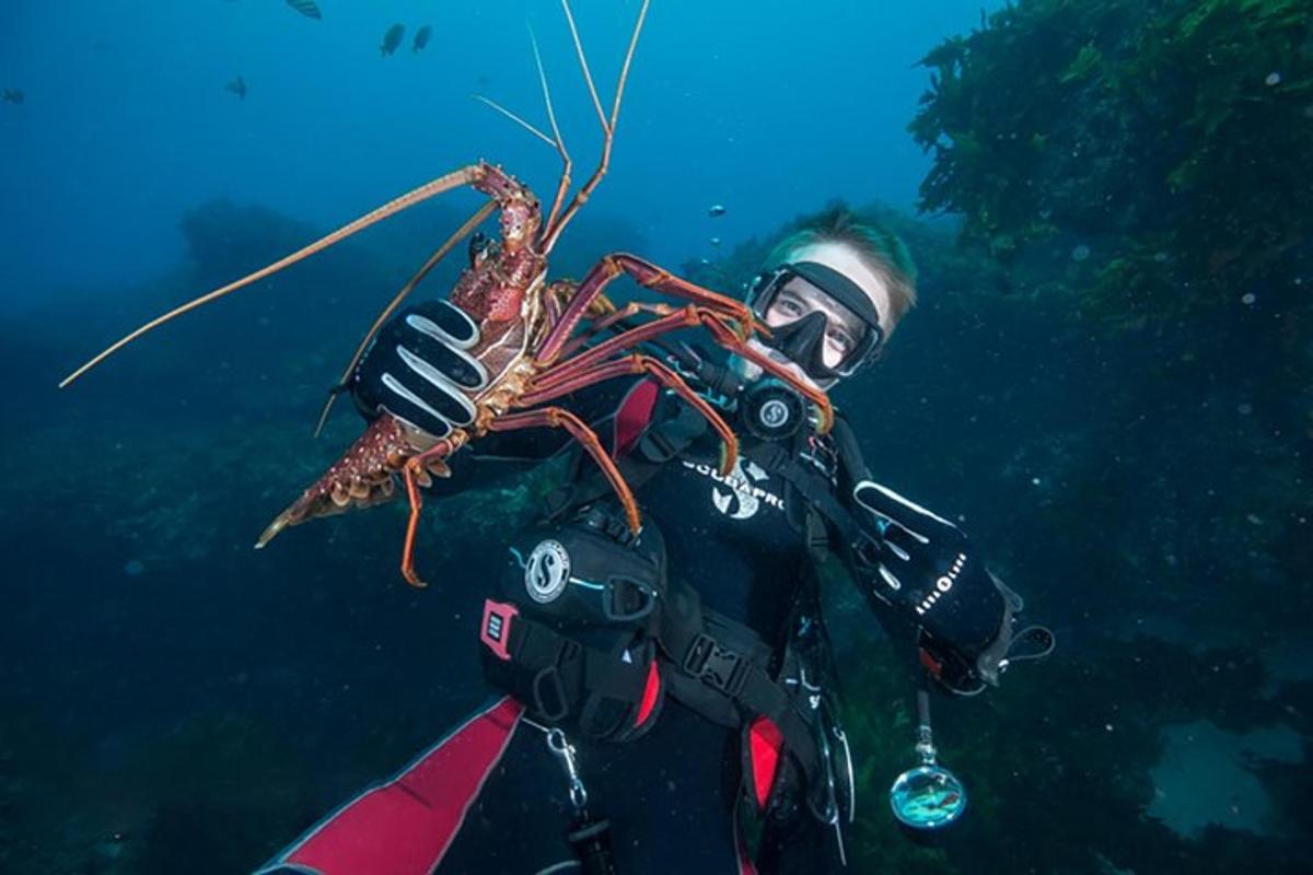 un uomo tiene un'aragosta sul petto