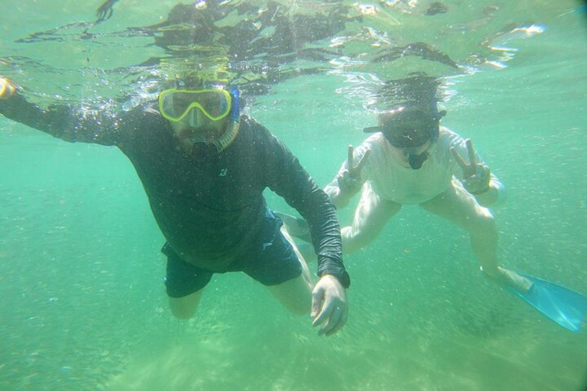 dwie osoby pływające w wodzie oceanu