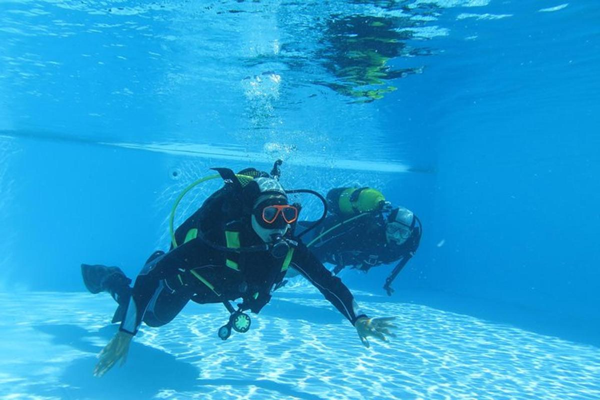 seseorang sedang berenang di air laut