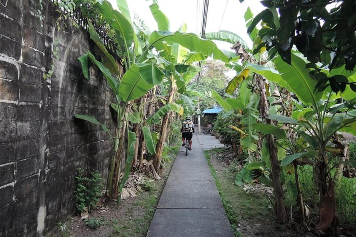 uma pessoa andando de bicicleta por um caminho em um jardim
