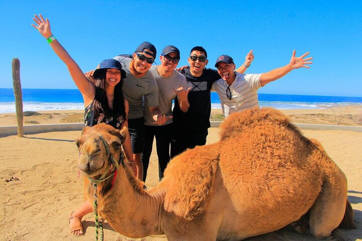a group of people standing next to a camel on the beach