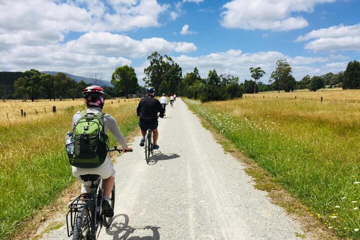 en gruppe mennesker, der cykler ned ad en grusvej