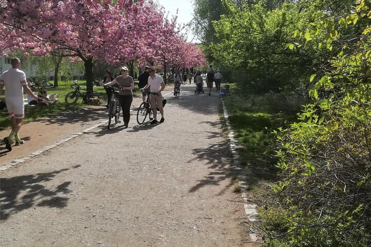 skupina ljudi, ki kolesarijo po poti z drevesi