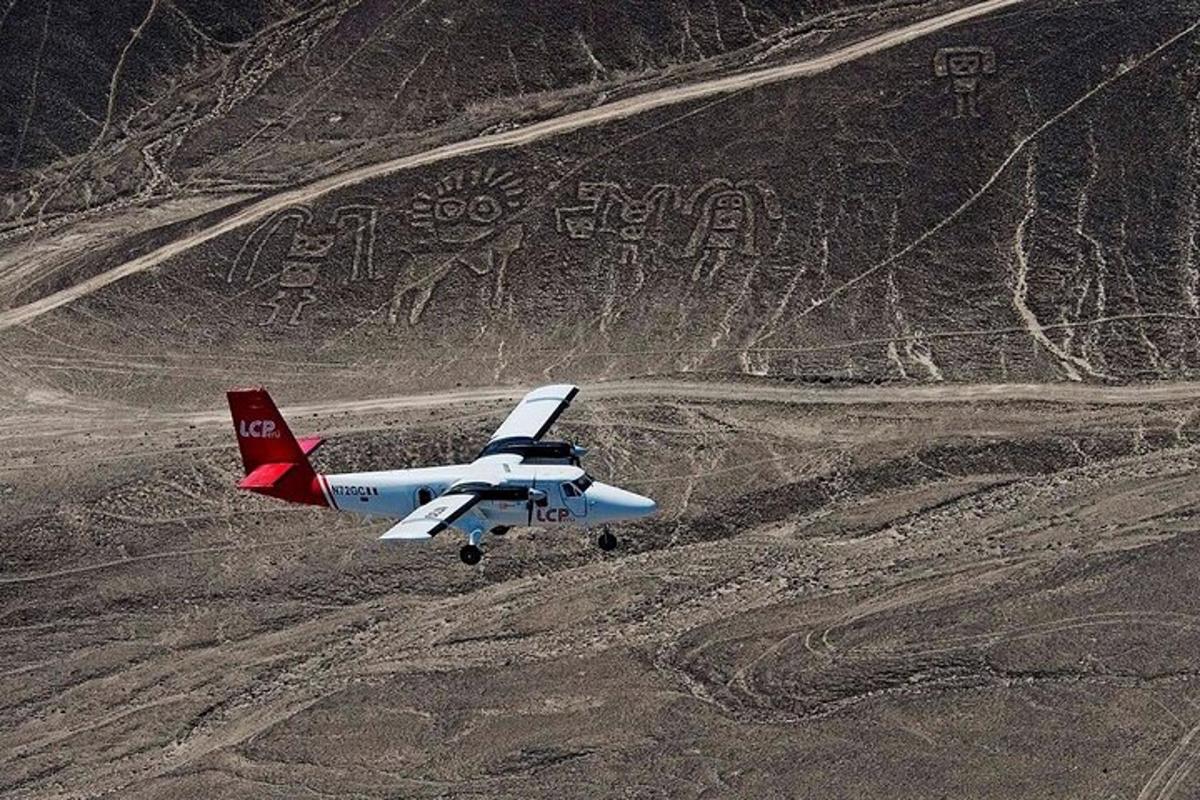 un avion mic zburând peste un câmp de pământ