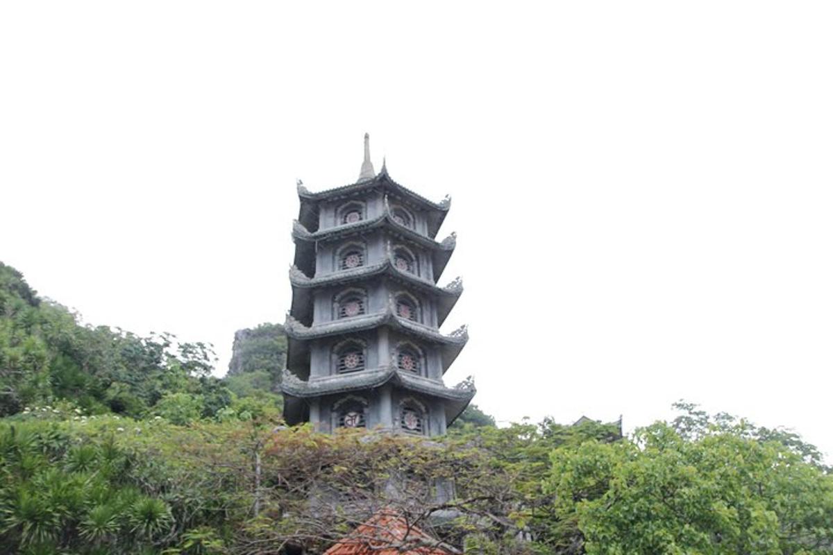 uma torre alta no meio de uma floresta