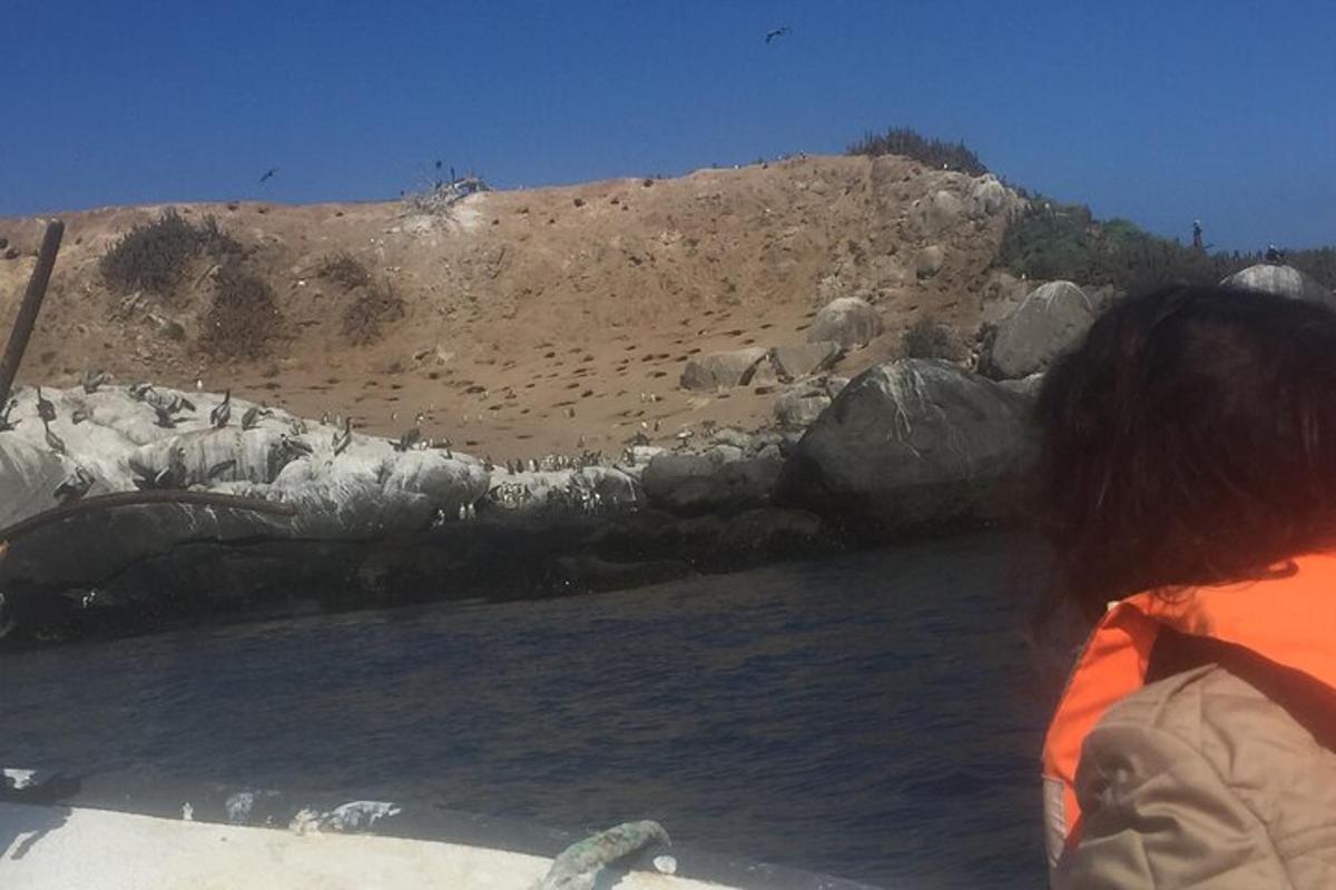 坐在船上看水的人