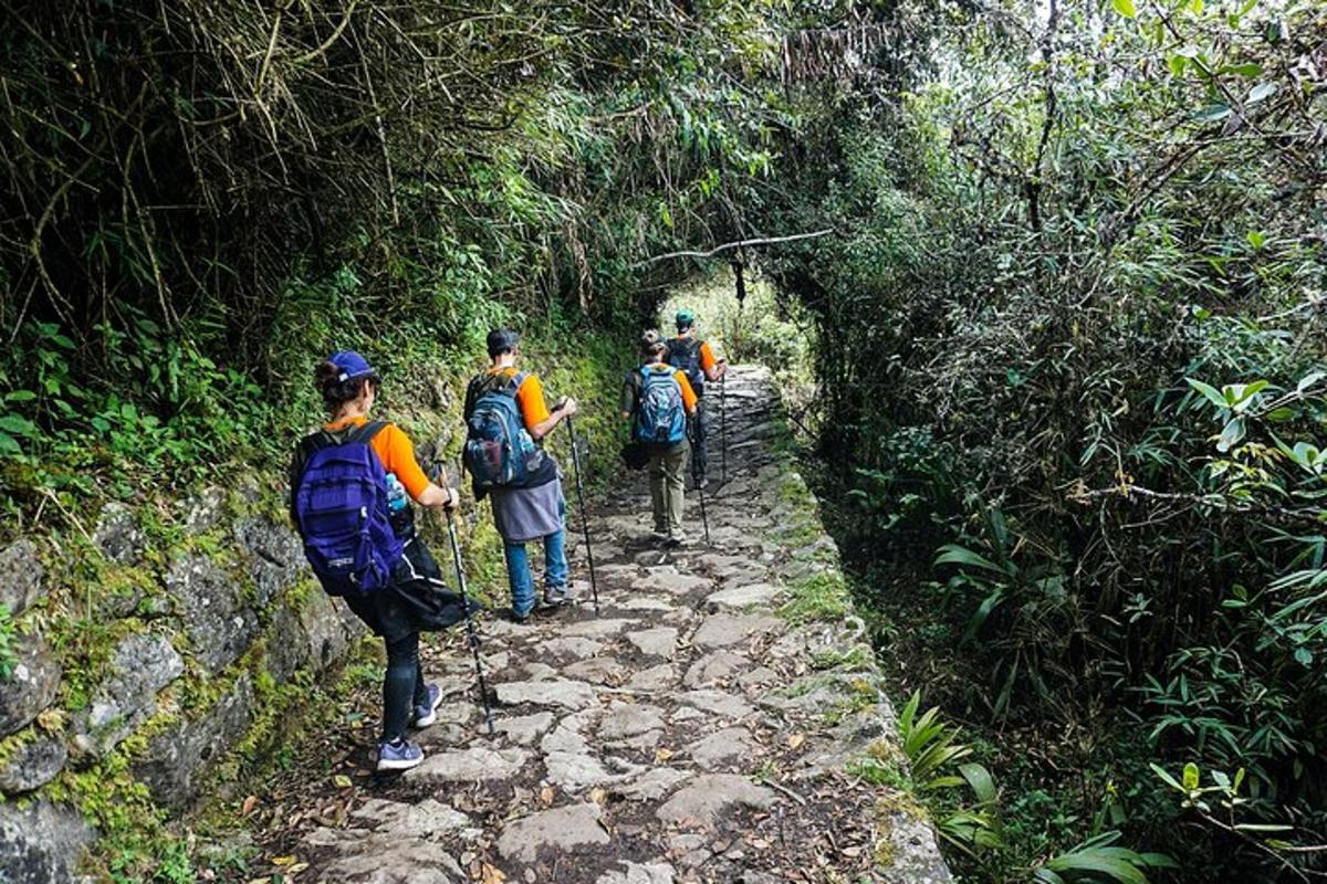 a group of people walking on a trail in the forest