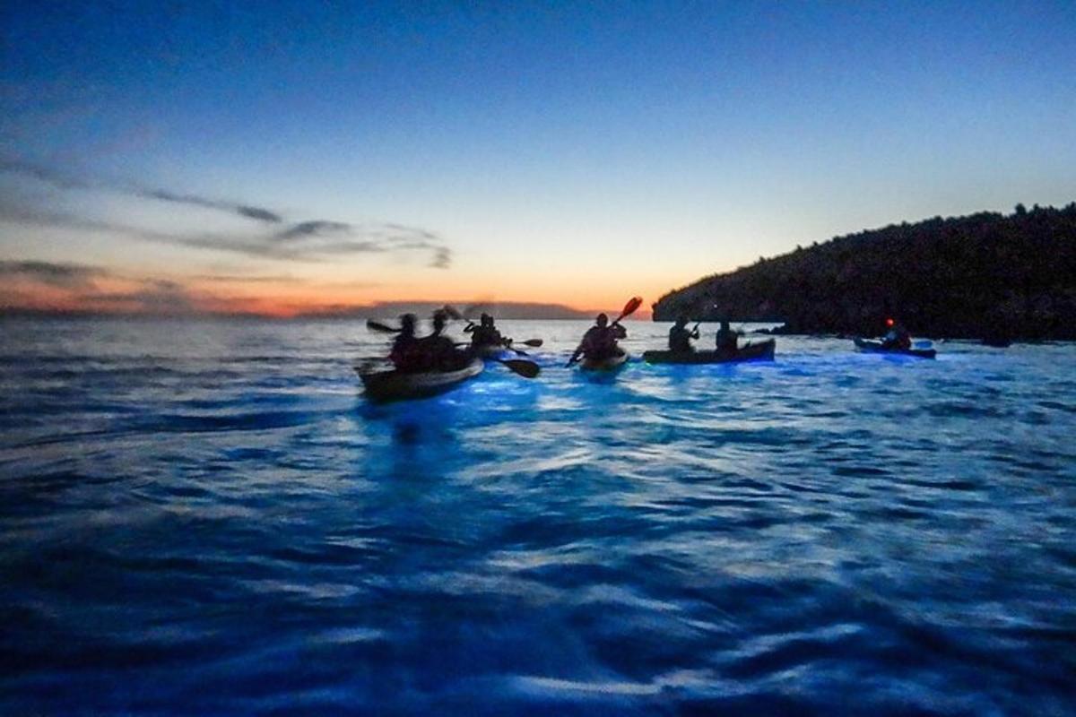 um grupo de pessoas em barcos na água