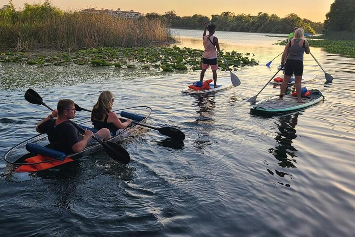 skupina ľudí na paddleboardoch na vode