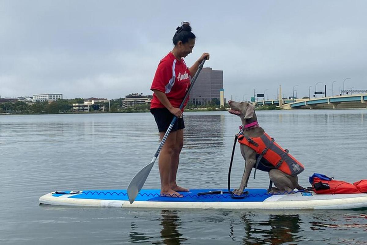 žena stojící na paddleboardu se psem