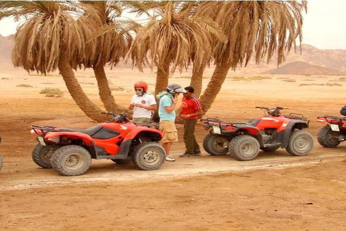 un grup de oameni care stau lângă ATV-uri și palmieri