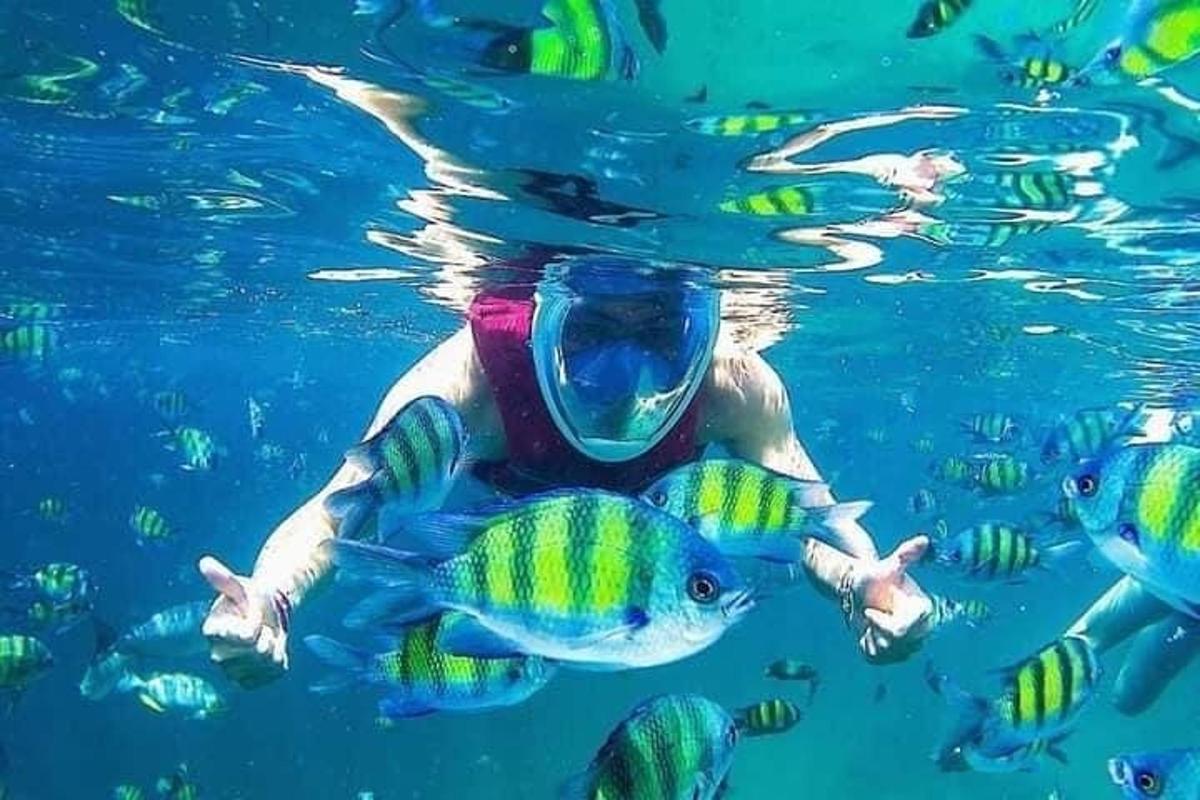 a person swimming in the water with fish