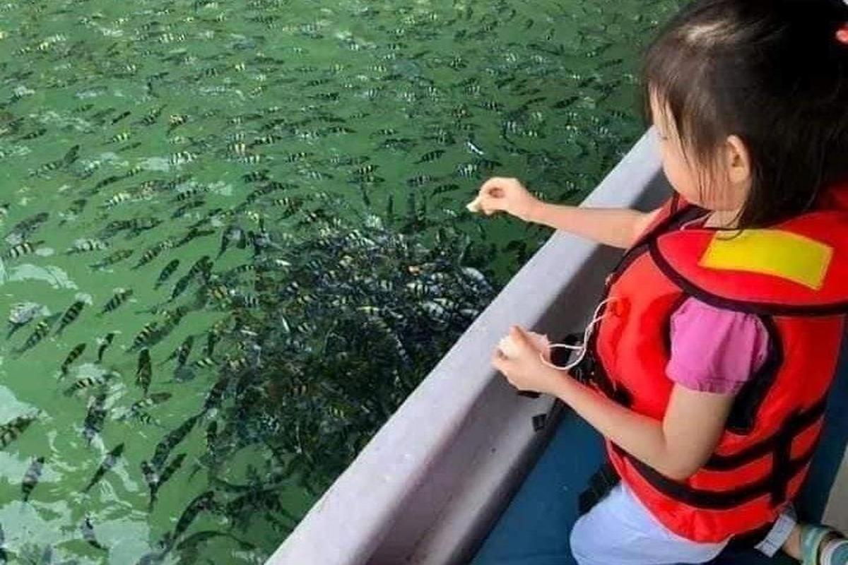 seorang gadis muda di dalam bot melihat ikan di dalam air