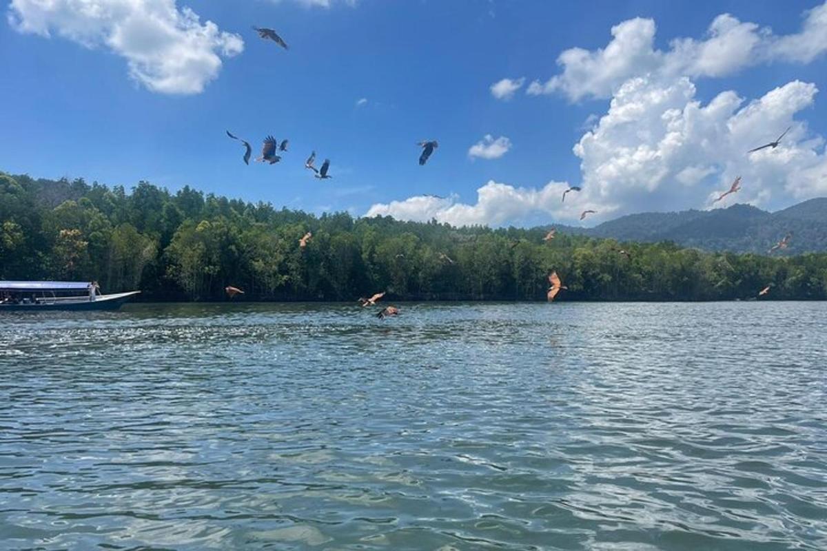 un grup de persones nedant en un llac