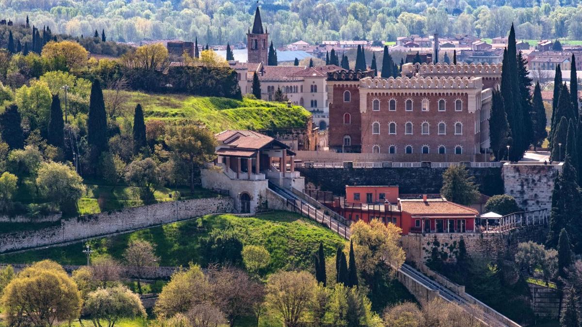 an aerial view of a city with a castle and trees