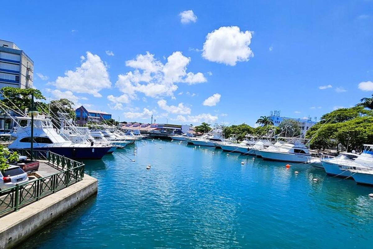 a group of boats docked in a marina