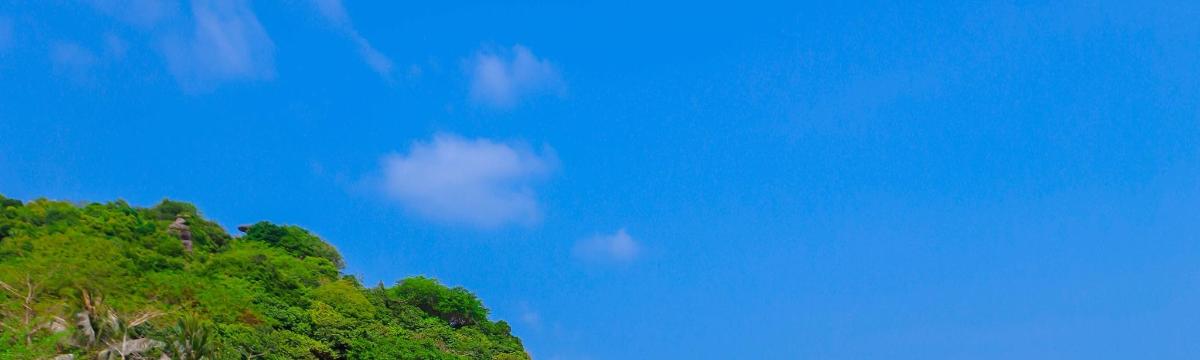 ein blauer Himmel mit einigen Wolken und Bäumen