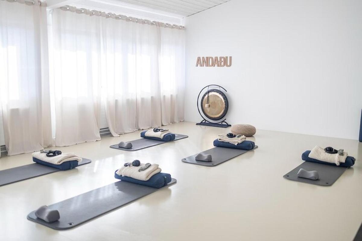 uma sala com um grupo de tapetes de pilates e um espelho