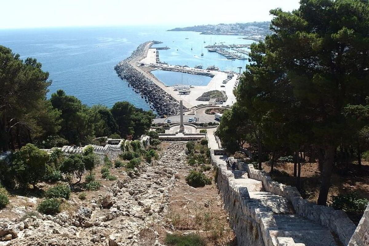 una vista aerea di una spiaggia e dell'oceano