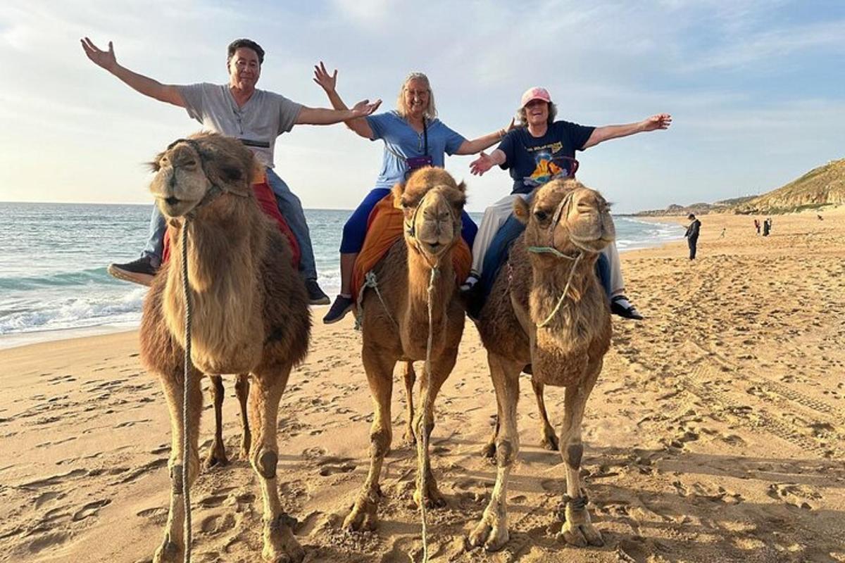 fyra personer ridande på kameler på stranden