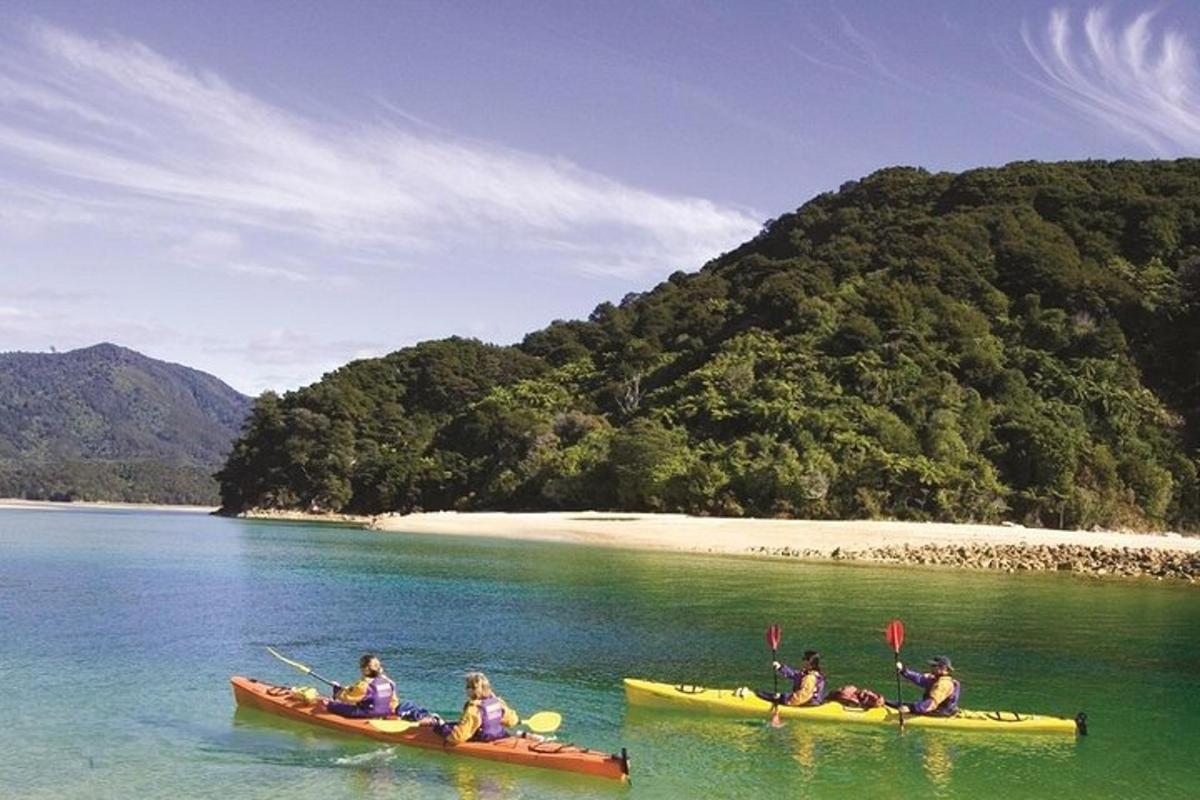 a group of people in kayaks in a body of water