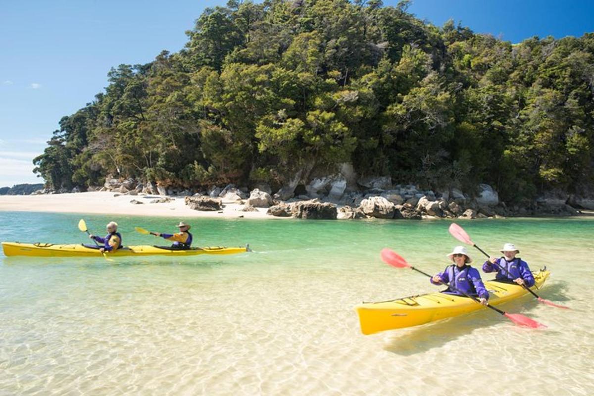 a group of people in kayaks on a beach