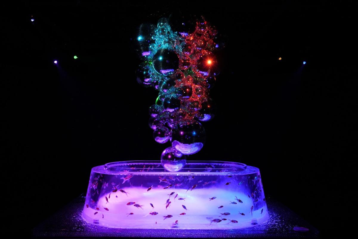 a purple bowl with a bunch of marbles in it